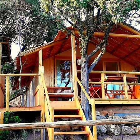 Stazzu La Capretta Farm Camping & Guest Rooms Olbia Luaran gambar