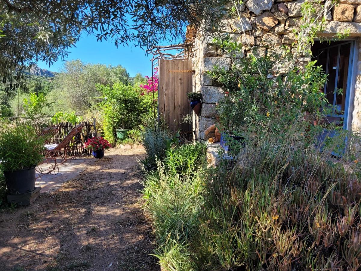 Stazzu La Capretta Farm Camping & Guest Rooms Olbia Luaran gambar