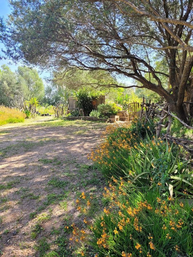 Stazzu La Capretta Farm Camping & Guest Rooms Olbia Luaran gambar