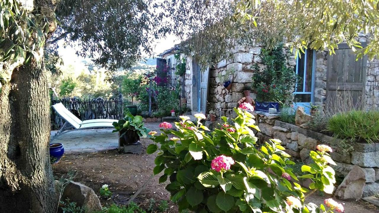 Stazzu La Capretta Farm Camping & Guest Rooms Olbia Luaran gambar