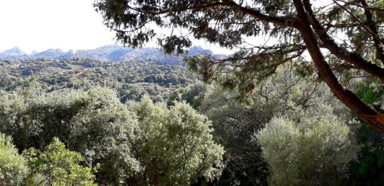 Stazzu La Capretta Farm Camping & Guest Rooms Olbia Luaran gambar