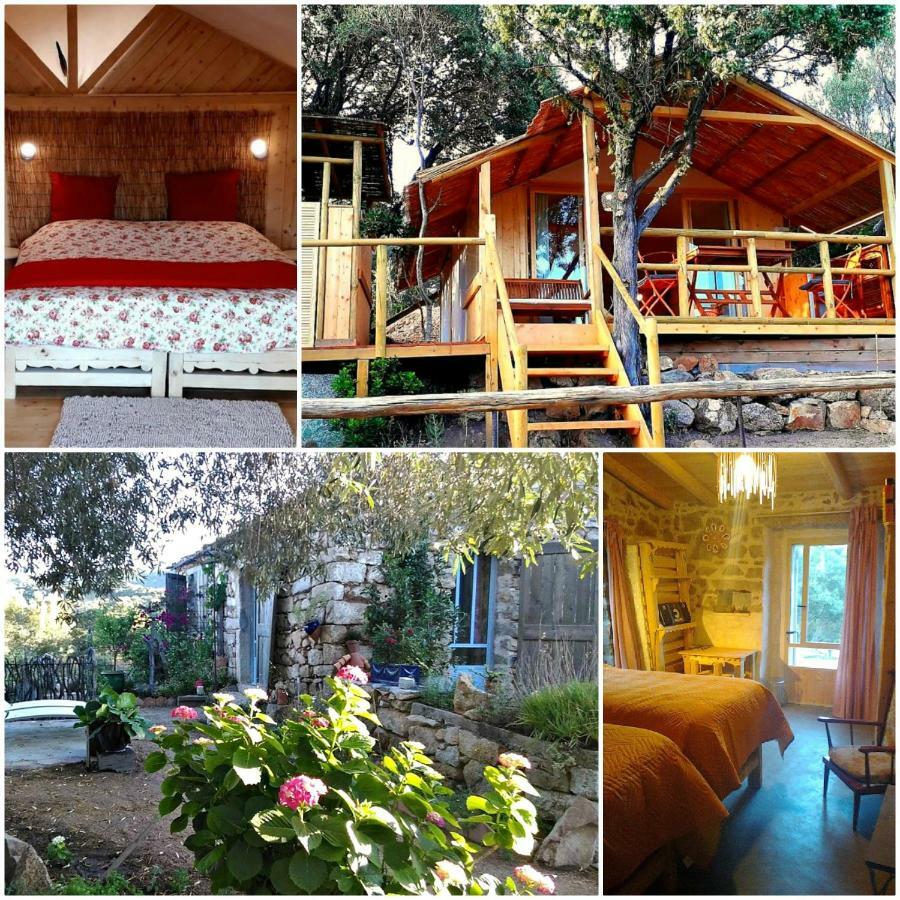 Stazzu La Capretta Farm Camping & Guest Rooms Olbia Luaran gambar