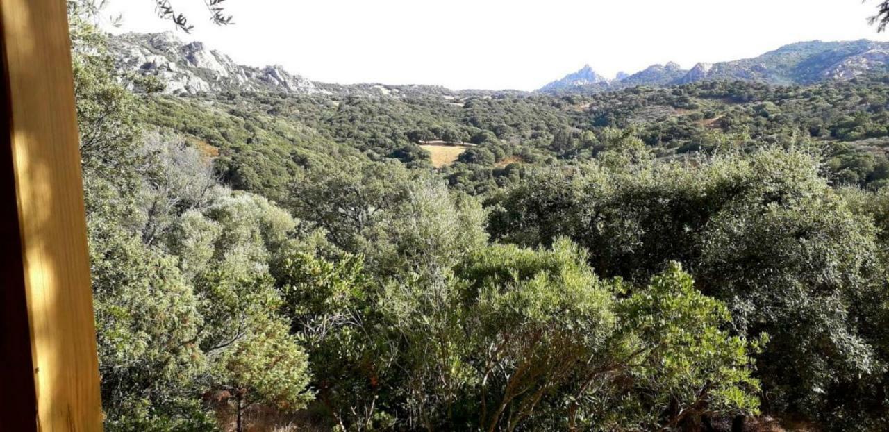 Stazzu La Capretta Farm Camping & Guest Rooms Olbia Luaran gambar